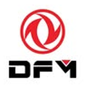 DFM