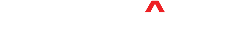 Grupo Raion